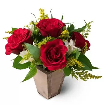Alvorada de Minas Blumen Florist- Kleine Anordnung von Rosen und Astromelia Blumen Lieferung