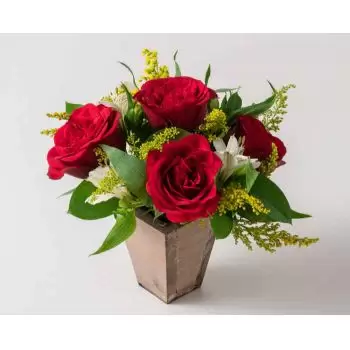Ресифе цветы- Небольшая аранжировка роз и астромелии Цветок Доставка