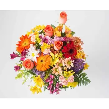 flores Abuna floristeria -  Ramo Medio de Campo Colorido Colorido Ramos de  con entrega a domicilio