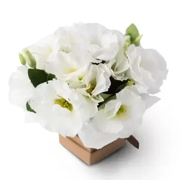Alecrim Blumen Florist- Kleines Lisianthus-Arrangement Blumen Lieferung