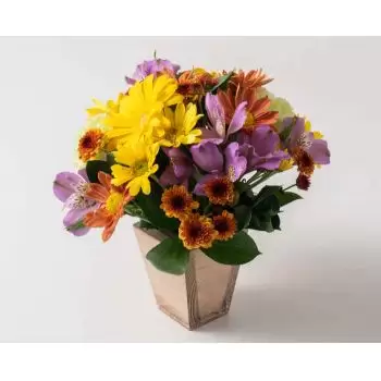 Manaus kwiaty- Układ małych kwiatów polowych Kwiat Dostawy