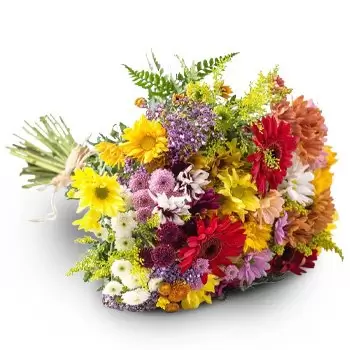 Αμπάρε λουλούδια- Campo Grande Λουλούδια Μπουκέτο Λουλούδι Παράδοση