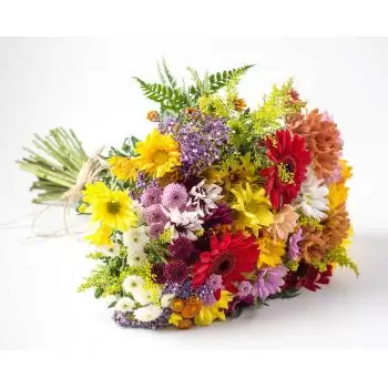Angelica květiny- Campo Grande Květiny Kytice Květ Dodávka