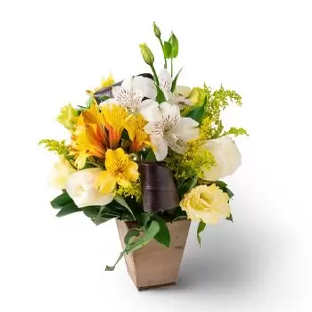 Acu Blumen Florist- Anordnung von Lisianthus und Astromélias Blumen Lieferung