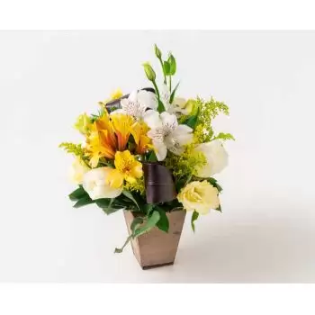 Amparo de Sao Francisco květiny- Uspořádání Lisianthus a Astromélias Květ Dodávka