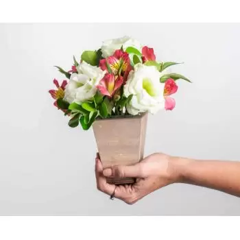 מנאוס חנות פרחים באינטרנט - סידור פרחי שדה וסטרומליה בגוונים ורודים זר פרחים