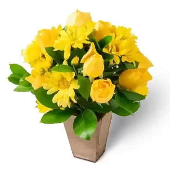 Belem Toko bunga online - Susunan Aster kuning dan Mawar Karangan bunga