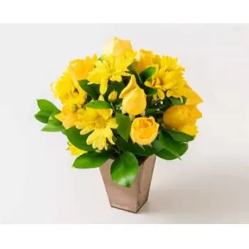 Alto Bonito flori- Aranjament de margarete galbene și trandafiri Floare Livrare