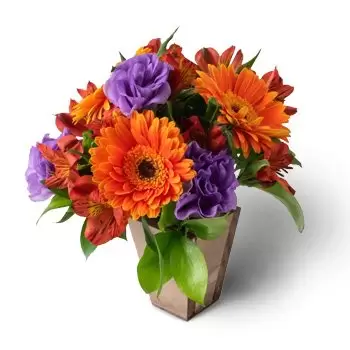 Angico květiny- Uspořádání pestrobarevných polních květin Květ Dodávka
