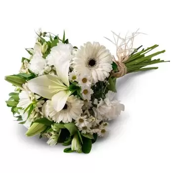 بائع زهور أجولها- الأبيض الحقول الزهور باقة زهرة التسليم