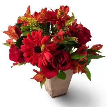 Ρεσίφε λουλούδια- Μικτή κόκκινη ρύθμιση λουλουδιών Λουλούδι Παράδοση