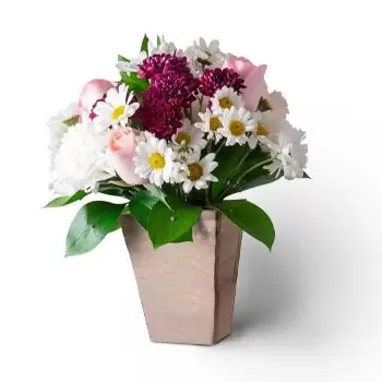 Acupe květiny- Uspořádání sedmikrásek, karafiátů a růží v rů Květ Dodávka