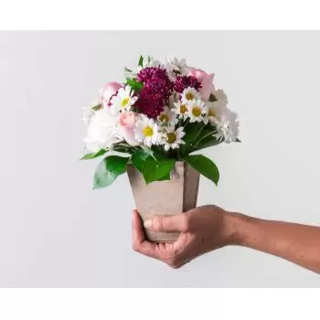 Αμπαετέτουμπα λουλούδια- Ρύθμιση μαργαρίτες, γαρύφαλλα και τριαντάφυλλ Λουλούδι Παράδοση