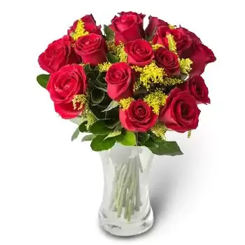 Brasília Online Blumenhändler - Feiern Sie mit roten Rosen Blumenstrauß