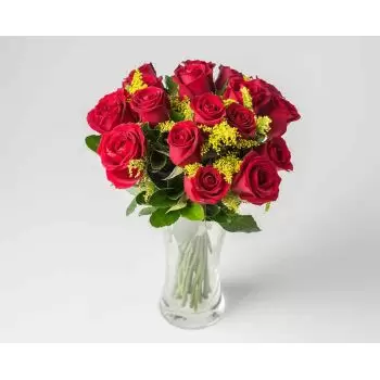 巴西利亚 花- 用红玫瑰庆祝 花 交付