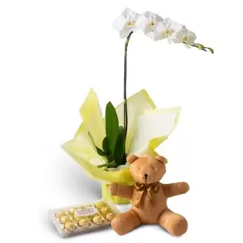 San Paulo Kwiaciarnia online - Phalaenopsis Orchidea na prezent, czekoladki  Bukiet