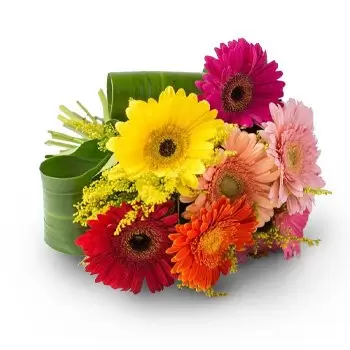 Věk květiny- Kytice z 8 barevných Gerberas Květ Dodávka