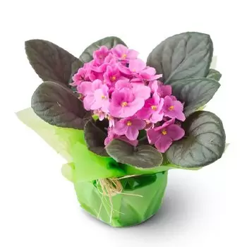 Belo Horizonte Fleuriste en ligne - Vase violet pour le cadeau Bouquet