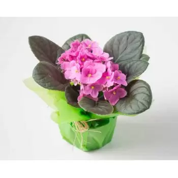 Amontada květiny- Fialová váza na dárek Květ Dodávka