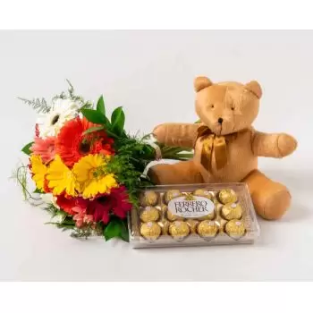 salvador kvety- 12 Gerberas, čokolády a Teddybear Aranžovanie kytice