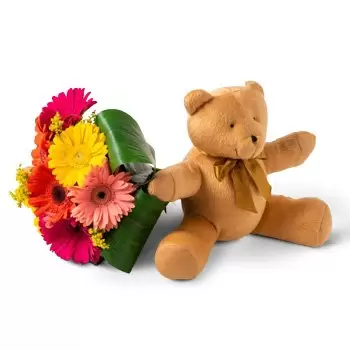 Acegua Blumen Florist- Bouquet von 8 Gerberas und Teddybär Blumen Lieferung