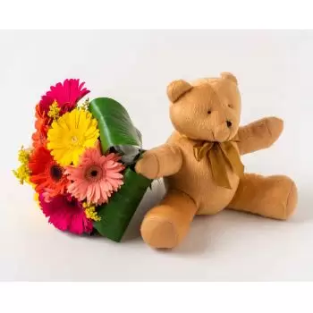 Anama bunga- Buket 8 Gerberas dan Teddybear Pengiriman