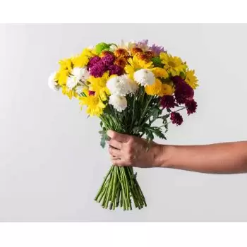 Манаус квіти- Букет з барвистих ромашів Квітка Доставка