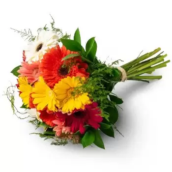 Anel bunga- Bouquet daripada 12 Gerberas Bunga Penghantaran