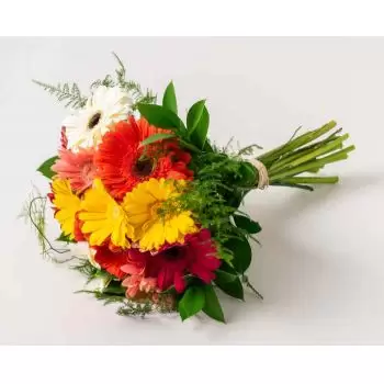 بائع زهور أبايت- باقة من 12 جربراس زهرة التسليم
