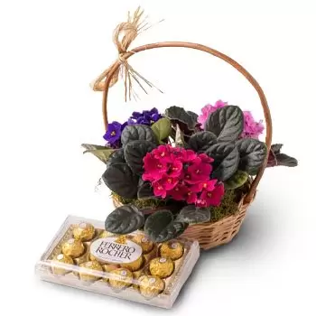 Alpestre Blumen Florist- Korb mit 3 Veilchen und Pralinen Blumen Lieferung