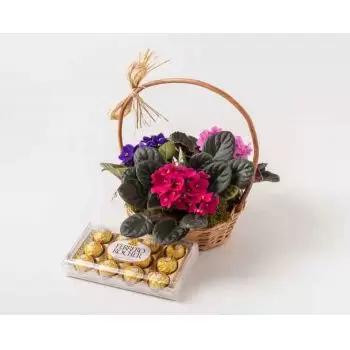 Andarai kukat- Kori, jossa 3 violettia ja suklaata Kukka Toimitus