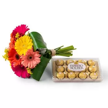 앵구스투라 꽃- 8 다채로운 거베라와 초콜릿의 꽃다발 꽃 배달