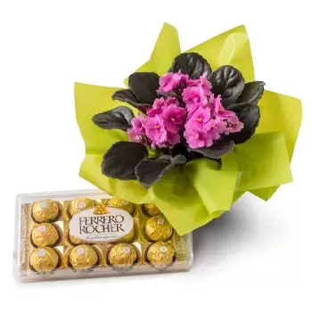 Alcantara flowers  -  Violet Vase for Gift and Chocolate Flower Delivery