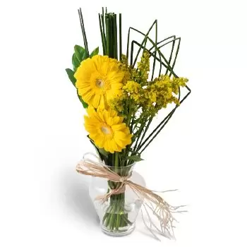Alcantara Blumen Florist- Zwei Gerberas in Vase Blumen Lieferung