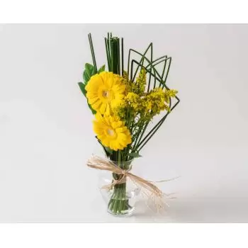 ดอกไม้ บราซิล - สอง Gerberas ในแจกัน ดอกไม้ จัด ส่ง