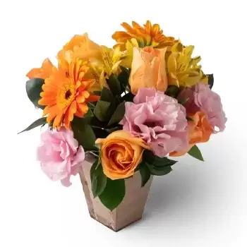 Alvacao květiny- Uspořádání Gerberas, polní květiny a růže Květ Dodávka