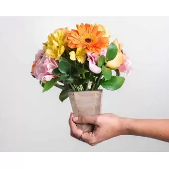 Тири цветы- Аранжировка гербера, полевых цветов и роз Цветок Доставка