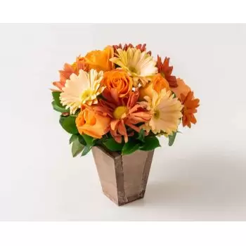 ? Arenapolis Arreglo de Rosas, claveles y Gerberas | Orange Roses  Carnations Y Gerberas | ENTREGA DE FLORES ARENAPOLIS{SEO_COUNTRY} -  ARENAPOLIS FLORISTA