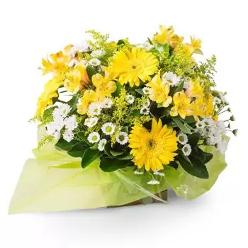 بائع زهور أغوا فريا دي غوياس- ترتيب من الأبيض والأصفر Gerberas والإقحوانات زهرة التسليم
