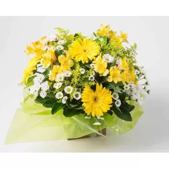 Airoes květiny- Uspořádání bílých a žlutých gerber a sedmikrá Květ Dodávka