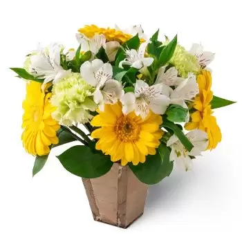 Alpestre Blumen Florist- Anordnung von Gelb-Weiß Gerberas und Astromel Blumen Lieferung