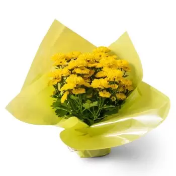 Angelandia bunga- Pasu Hadiah Daisies Bunga Penghantaran