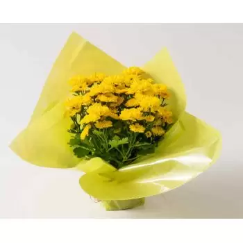 fiorista fiori di Adolfo- Vaso regalo di margherite Fiore Consegna