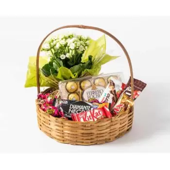 Salvador rože- Luksuzna košara za kavo s čokolado in cvetjem Cvet Dostava