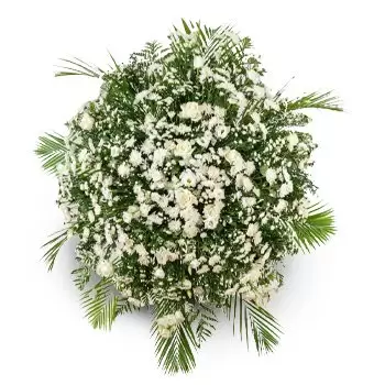 Fortaleza online Blomsterhandler - Luksuriøse Crown af kondolence Buket