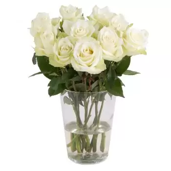 אסן פרחים- אלגנטיות נצחית פרח משלוח