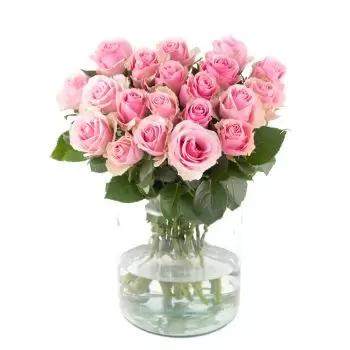 flores de Duisburg- A tentação mais doce Flor Entrega