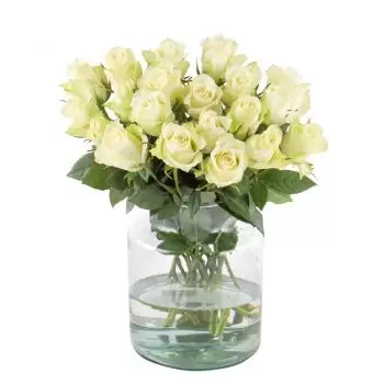 Dortmund-virágok- Fehér ártatlanság Virág Szállítás