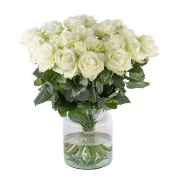 Bourseigne-Vieille blomster- Kongelig hvid Blomst Levering
