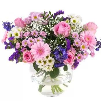 Ντίνα λουλούδια- Καλοκαίρι λιβάδι Λουλούδι Παράδοση